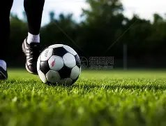 真人,资讯,PA真人,PA真人链接,PA真人官网地址,PA真人官方平台,PA真人入口站点