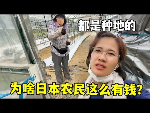 向鹏惊艳亮,首局逆境逆,后连得,PA真人链接,PA真人官网地址,PA真人官方平台,PA真人入口站点